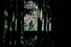 Fotospecial-027